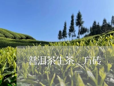 普洱茶生茶 方砖/2023031660593